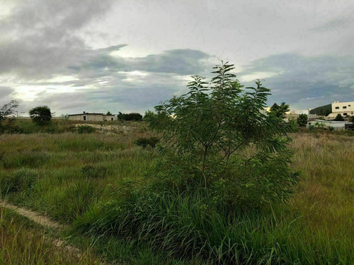 Venta De Terreno En Comitan