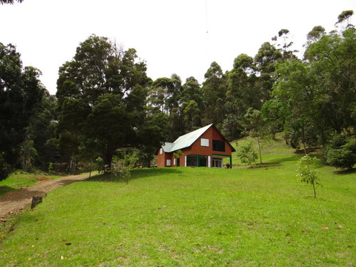 Imagen 9 de 30 de Casa Finca Campestre En Venta Vía Rionegro La Ceja Yrm 2