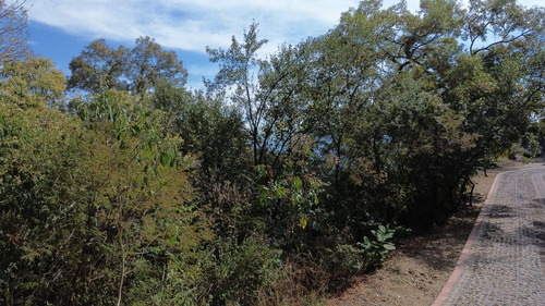 Gavilán 1