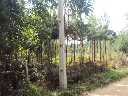 Chácara A Venda No Bairro Centro Em Mandirituba - Pr. - 5255-1