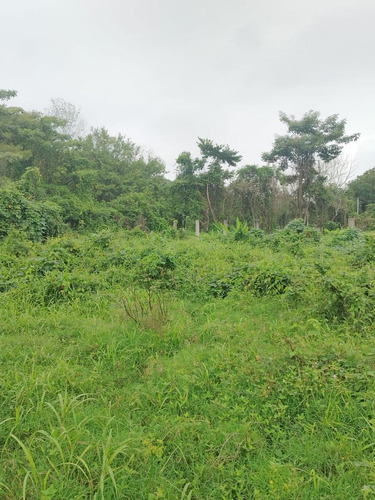 Venta De Terreno Excelente Ubicacion En San Bartolo Tuxtepec Oaxaca
