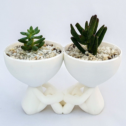11 Macetas 3decofriendly Suculentas Cactus Robert Plant