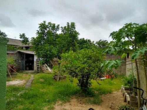 Imagem 14 de 14 de Casa Em Rua Calçada E 2 Quartos Em Itanhaém Litoral Sul Sp