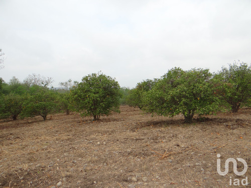 Venta Terreno 0 Ambiente Los Sabinos (sabinos De Abajo)