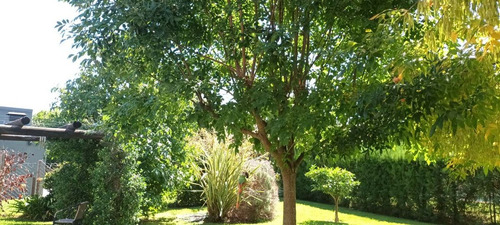 Venta Casa Manzanares Chico-pilar- Credito-permuta