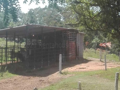 Imagen 23 de 30 de Terrenos En Venta Sarare Simon Planas 21-15944 #m