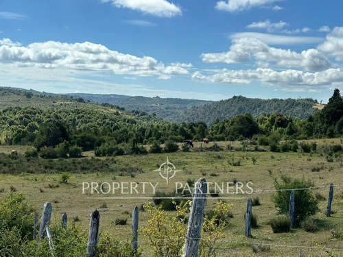 Oportunidad De Inversión, Campo Con 1.700 M De Ori...
