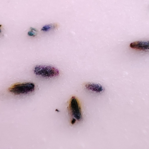 Mascarilla Hidro-plástica Calmante Con Lavanda Y Kava Kava