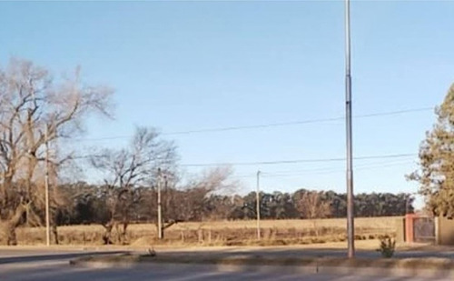 Imagen 5 de 5 de Venta De Lote 13 Has. Acceso H. Yrigoyen Ciudad De Lincoln