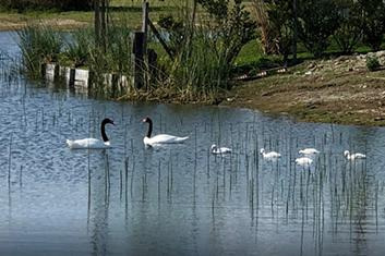 Lote A La Laguna - El Cantón - Islas - Escobar