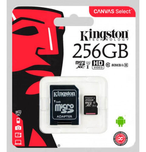 Memoria Micro Sd 256 Gb Para Raspberry Pi O Arduino