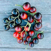 Comprar Semillas Orgánicas Tomate Cherry, Negro