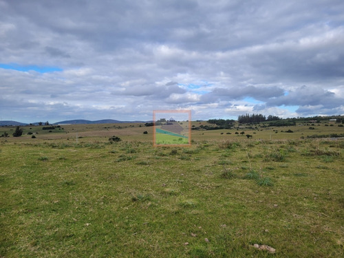 Imagen 20 de 25 de 20has De Campo Sobre Ruta 12 Pueblo Edén
