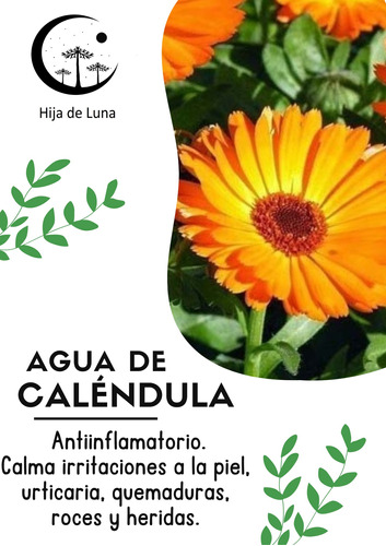 Agua De Caléndula Natural (hidrolato) 100% Puro