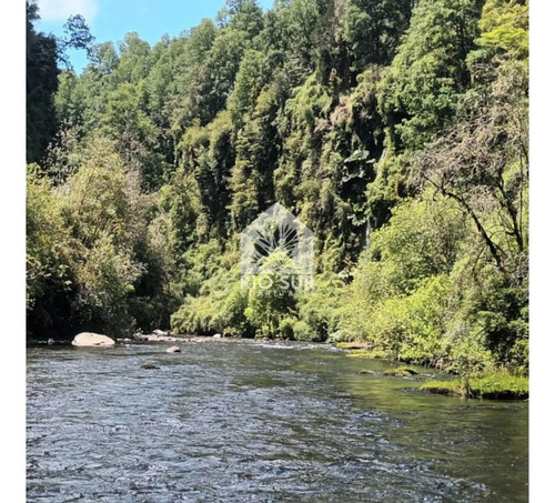Parcelas Puyehue Rio Bueno - Rio Sur Corretajes