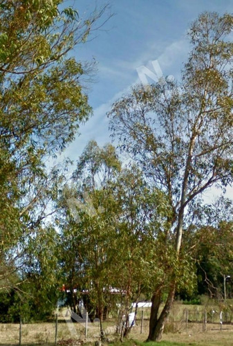 Imagen 2 de 14 de Ruta 104 Zona Ideal Para Vivir Todo El Año - San Carlos Quinta De Medina