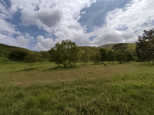 Venta De Finca En Aguirre, Montalbán - 1631 Inmobiliaria Maggi.