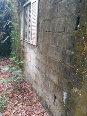 Chácara Com 2 Mil Metros E Árvore Frutífera Em Itanhaém Sp