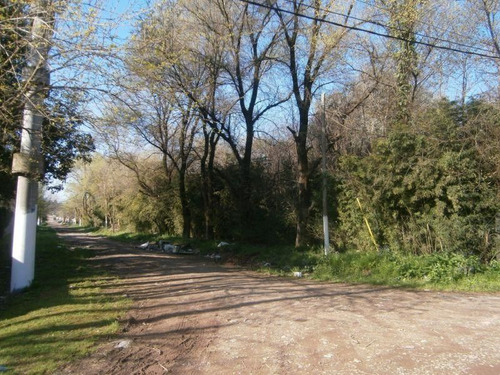 Terreno En Venta En Muñiz