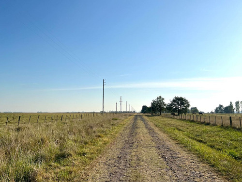 Imagen 12 de 20 de Venta Chacra 15 Hectareas Cañuelas Buenos Aires