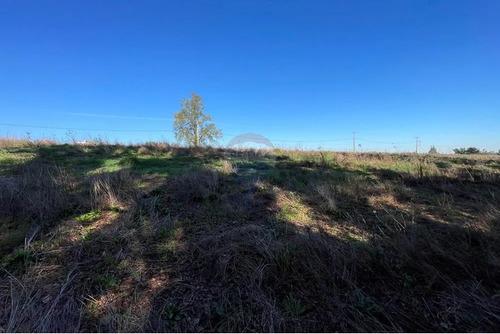 Parcela En Ruta Freire A Villarrica