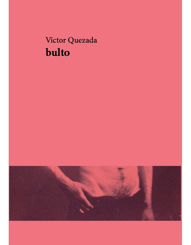 Imagen 1 de 2 de Bulto De Víctor Quezada (2019)