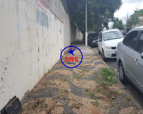 Imagem 3 de 4 de Terreno - Te00085 - 33707836