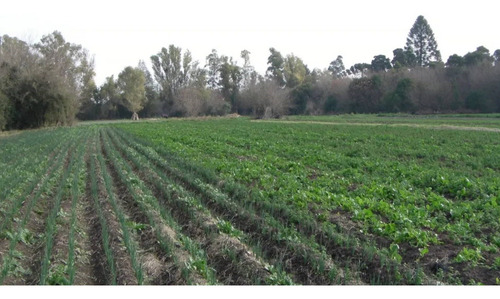 Imagen 11 de 11 de Terreno Campo En Venta Ubicado En Pilar, G.b.a. Zona Norte
