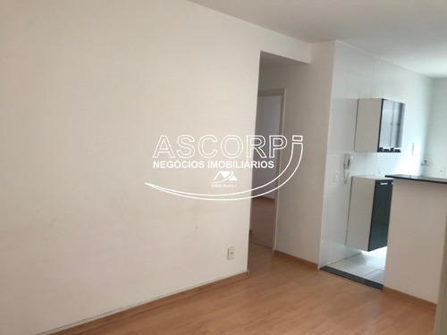 Apartamento San Pietro (cod:ap00263) - Ap00263 - 69219927