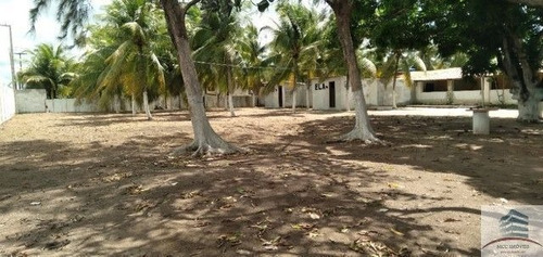 Imagem 9 de 13 de Chácara A Venda Ceara Mirim