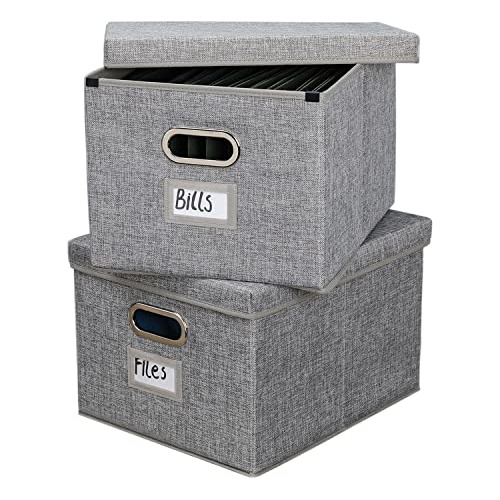 Juego De 2 Cajas Organizadoras De Archivos, Archivadore...