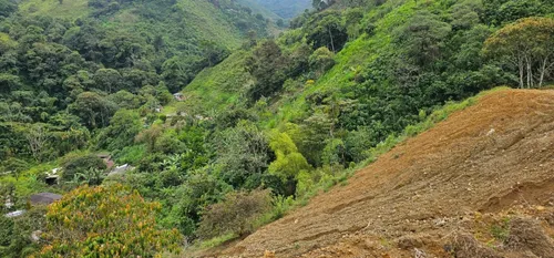 Venta De Lote En Santa Bárbara Vereda Pitayó Lote No. 2a