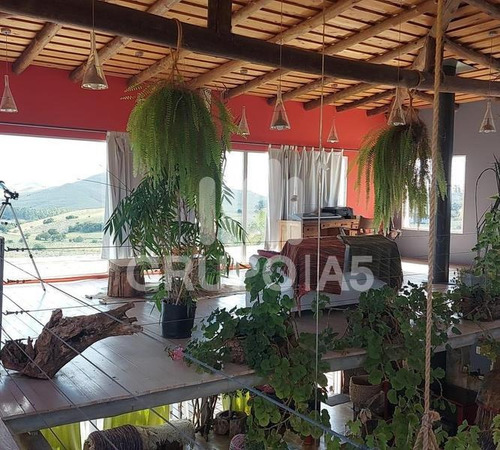 Imagen 4 de 28 de Vende Chacra De 10 Hectáreas Con Una Casa De 500 M2 - Penitente - Minas