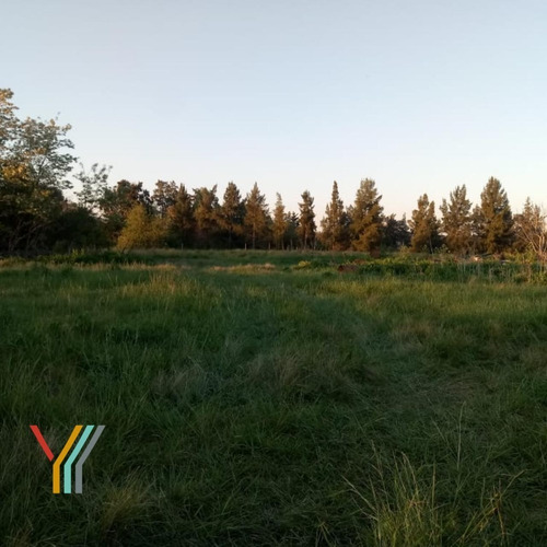 Campo En Venta