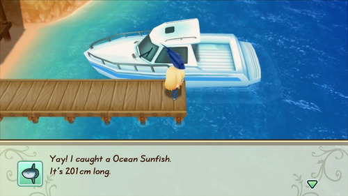 Historia de temporadas: Friends Of Mineral Town Switch Midia Fisica