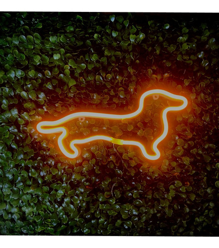 Luminária Parede Cachorro Neon Led Petshop Dog 110-220v 