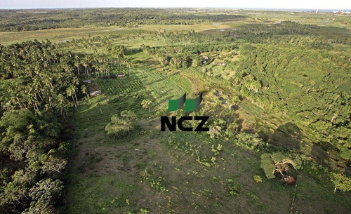 Imagem 9 de 20 de Sítio À Venda, 100000 M² Por R$ 750.000,00 - Cascalheira - Camaçari/ba - Si0046