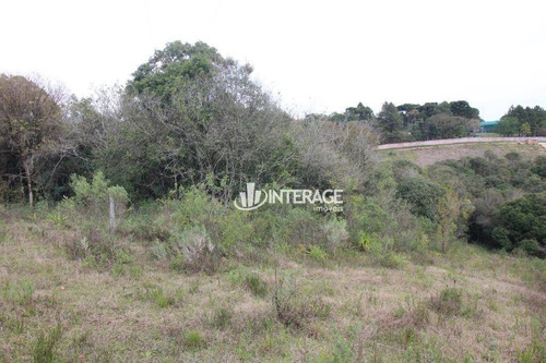 Imagem 3 de 9 de Terreno À Venda, 4505 M² Por R$ 650.000,00 - Butiatuvinha - Curitiba/pr - Te0295