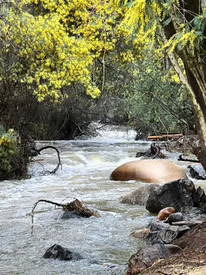 Parcela en venta