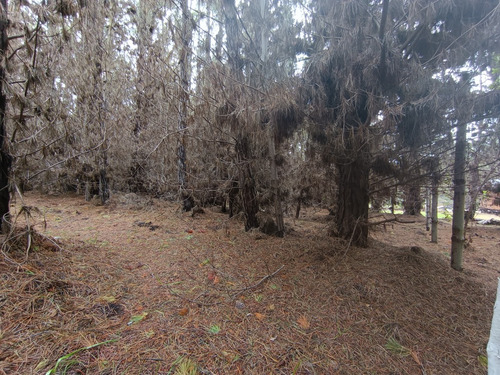 Parcelas Laguna Verde, Valparaíso, Con Rol Propio