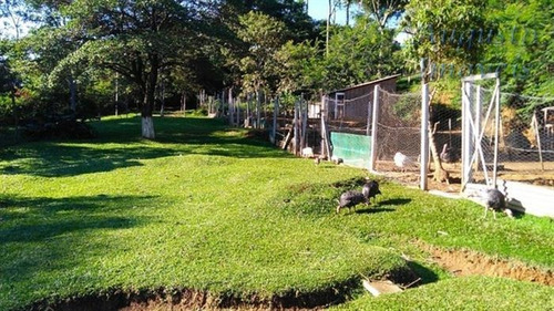 Imagem 8 de 19 de Chácaras À Venda Em Vargem/sp - Compre O Seu Chácaras Aqui! - 1481566
