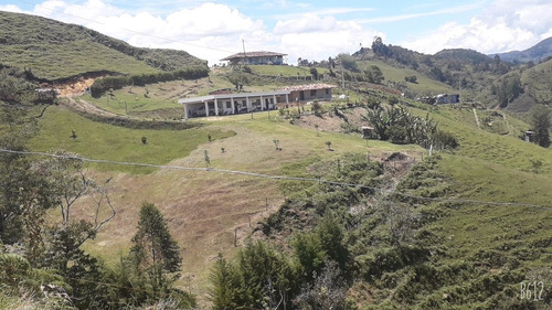 Imagen 6 de 14 de Casa Finca En El Peñol Con Acceso Embalse 700 Millones