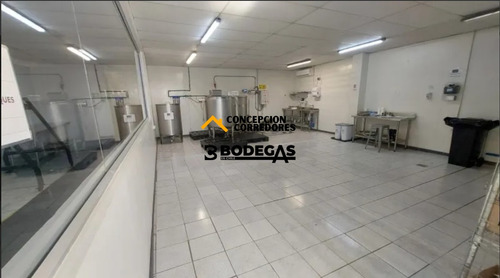 Arriendo Bodega De 984m2 C/oficina En Indepndencia