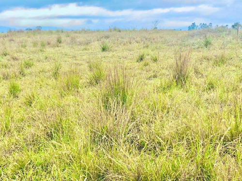 Imagem 22 de 30 de U38- Terreno Negociavel Direto Com O Proprietario