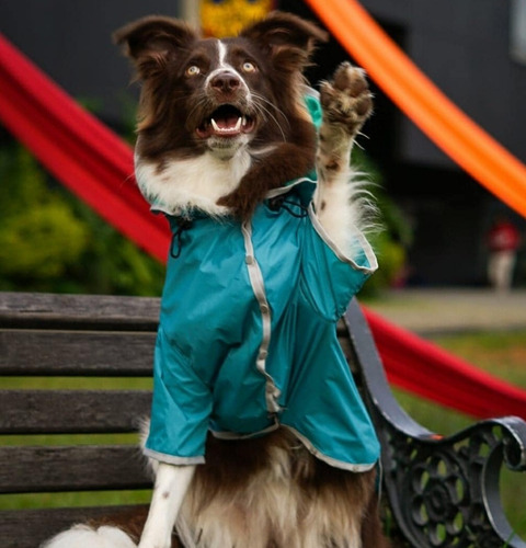 Imagen 5 de 6 de Abrigo Impermeable Para Perros Talla Xl
