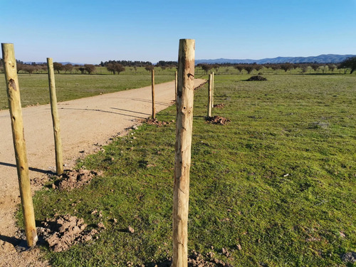 Parcela 5.000 M2  Rinconada De Alcones, Marchigüe