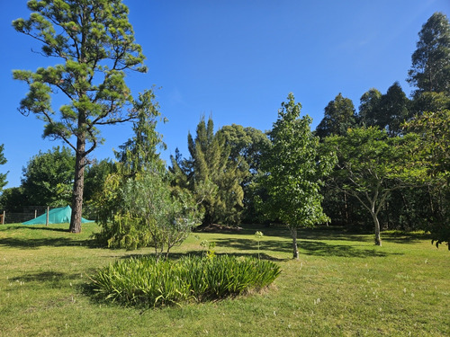 Venta Casa 2 Dormitorios Solís Con Cochera, Piscina Y Anexo