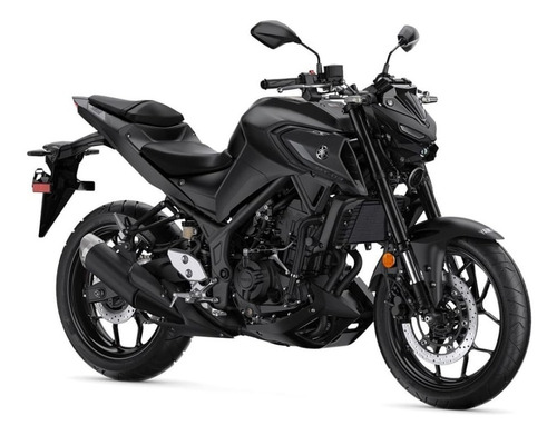 Imagen 3 de 25 de Motocicleta - Yamaha - Mt-03 A