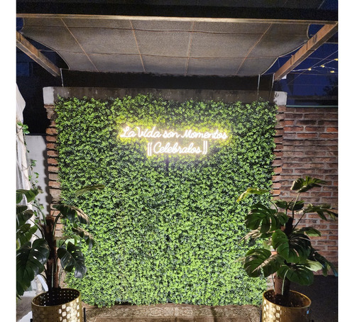 Tunel Led Servicio Dj Disc Jockey Pistas Plataforma Pantalla
