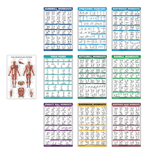 Quickfit - Juego De 10 Carteles De Ejercicios: Con Mancuerna